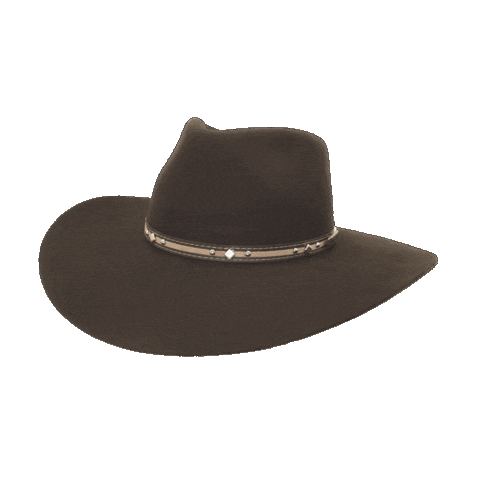 Hat Cowboy Sticker by Sacudidos