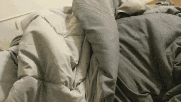 good morning dog GIF