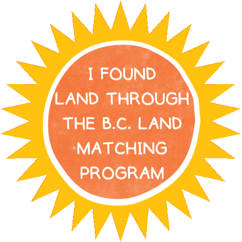 Sun Sticker by Young Agrarians