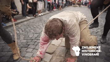 History Please GIF by Znojemská Beseda