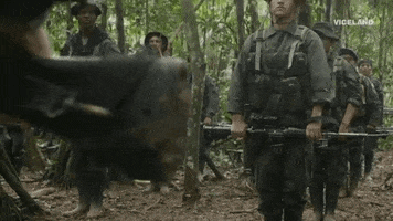 vicecol gif 3 woman GIF