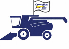 GIF by Cornelius Seed