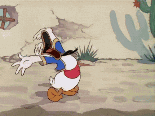giphy.gif?cid=790b7611aae92b09affdf1dff1