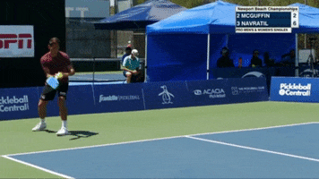 Pickleball Pickleball Serve GIF