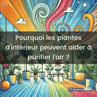 expliquepourquoi-purification-de-lair-plantes-dintrieur-dpolluantes-EExVelI1KDrOG7W46U