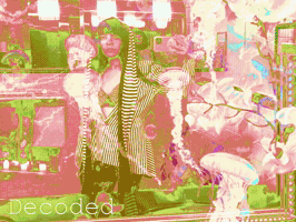 Decoded GIF