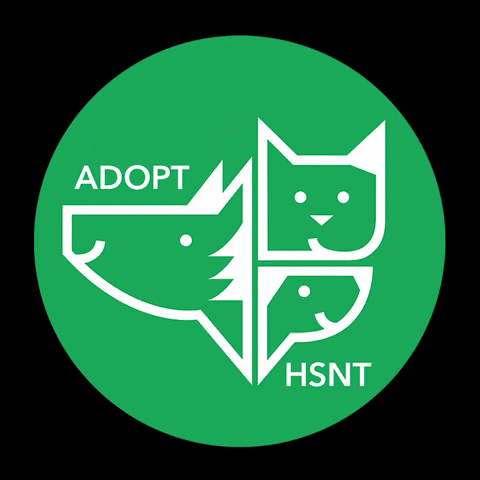 Animal Rescue Adopt Dont Shop GIF by Humane Society of North Texas