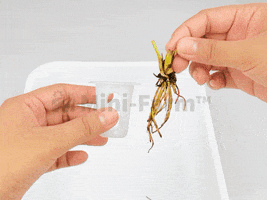 GIF by Mini-Farm Grow Kits