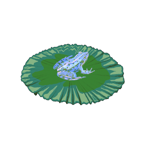 Frog Lilypad Sticker