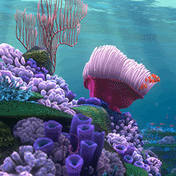 aquarium