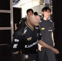 Teamvitality GIF
