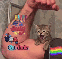 Animated GIF