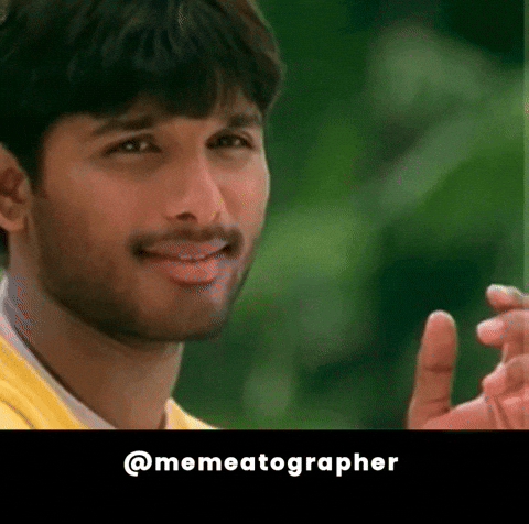 Allu Arjun Arya GIF