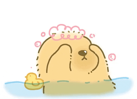 giphy.gif