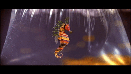 the life aquatic with steve zissou