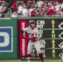 Boston Red Sox GIFs on GIPHY - Be Animated