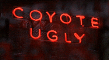 coyote ugly film GIF