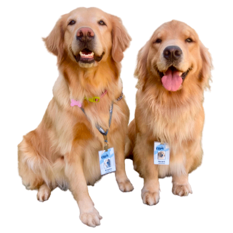 Brigitte Sticker by EBM