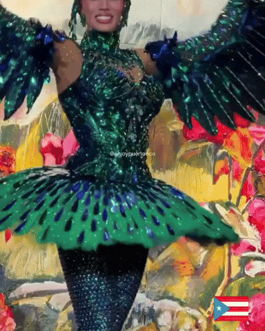 Puerto Rico Mupr GIF