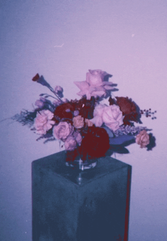 botan_flowers  GIF