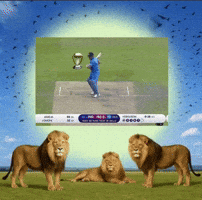 Ms Dhoni GIF