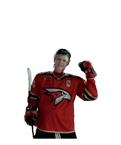 Goal Hockey Sticker by Avangard