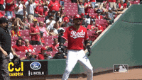 Nicholas-castellanos GIFs - Get the best GIF on GIPHY