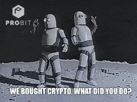 Invest What Did You Do GIF by ProBit Global
