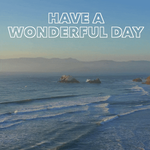 Have A Nice Day Beach GIF by GIPHY Studios 2021