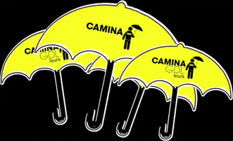 CaminaGDL GIF
