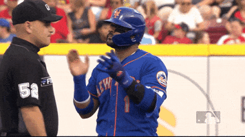 Ny Mets Ok GIF by New York Mets
