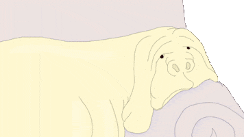 Animation Dog GIF by prosarapi