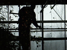 Magia Timetoflow GIF