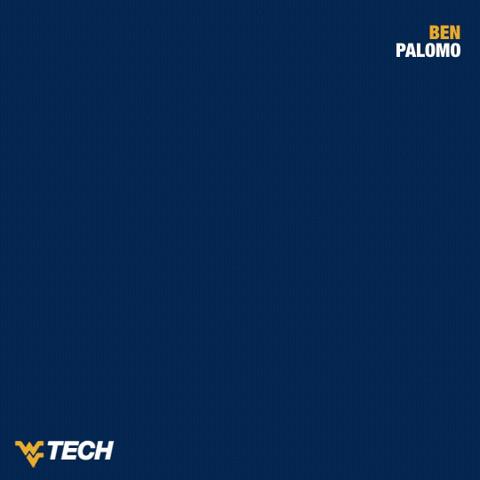 Baseball GIF by WVU Tech Golden Bears