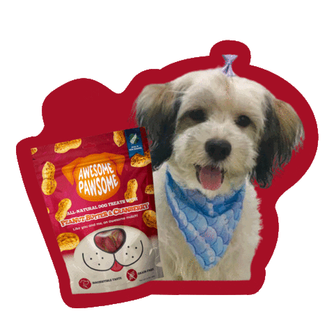 Happy Peanut Butter Sticker by Awesome Pawsome Treats