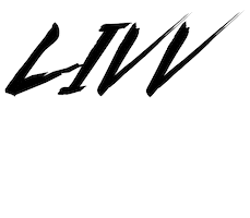 djlivv Sticker