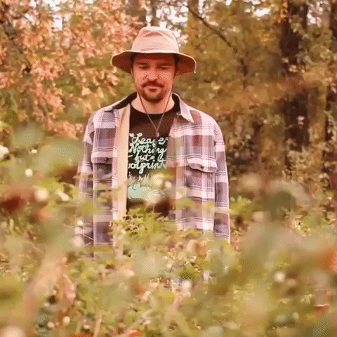 Oregon Try Again GIF by Four Rest Films