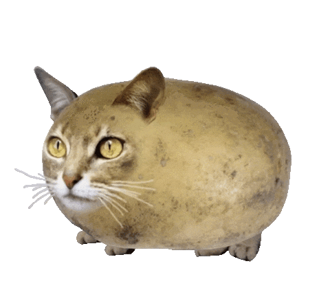 Source: Bubble Punk