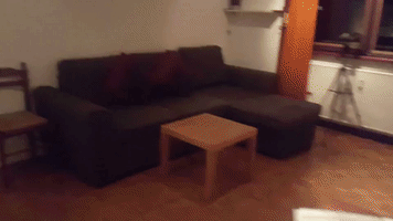 Donovandon  GIF