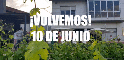 Bodega GIF