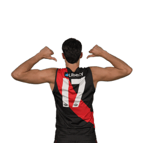 Dons Bombers Sticker by Essendon FC