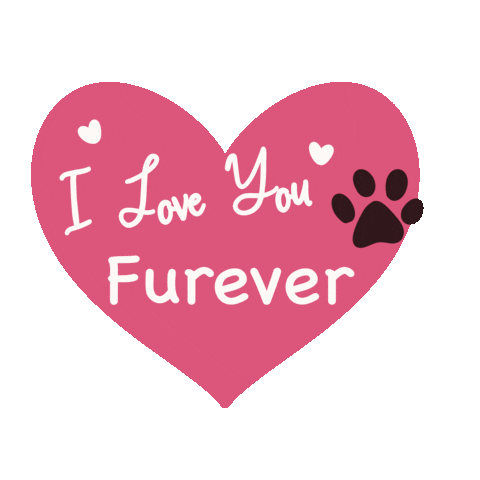 I Love You Cat Sticker by Pearl and Penny