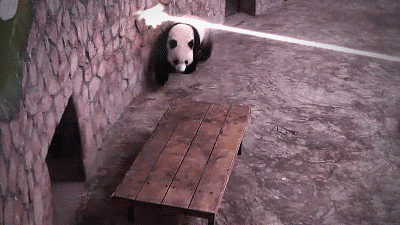 imagination GIF