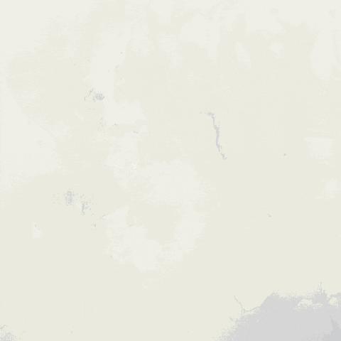 Centre for Strategic and International Studies Indonesia GIF