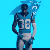 North Carolina Reaction GIF by Carolina Panthers