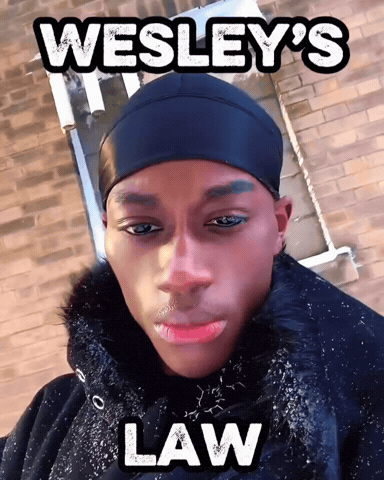 Mog GIF by Dawn To Fitness