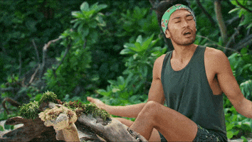 Tribe Reaction GIF by Survivor CBS