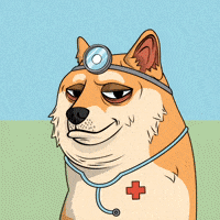TheDogePound-doge-dogepound-doctor-ES4R6uPo0aSiQ18kIH
