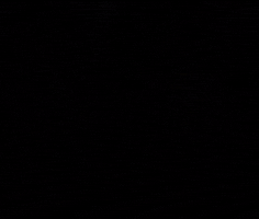 Are You Serious Stranger Things GIF