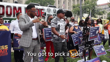 Pick A Side GIF by Black Voters Matter Fund
